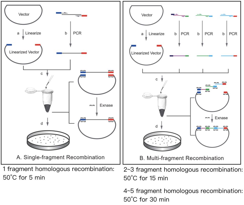 瑞柏生物科技有限公司